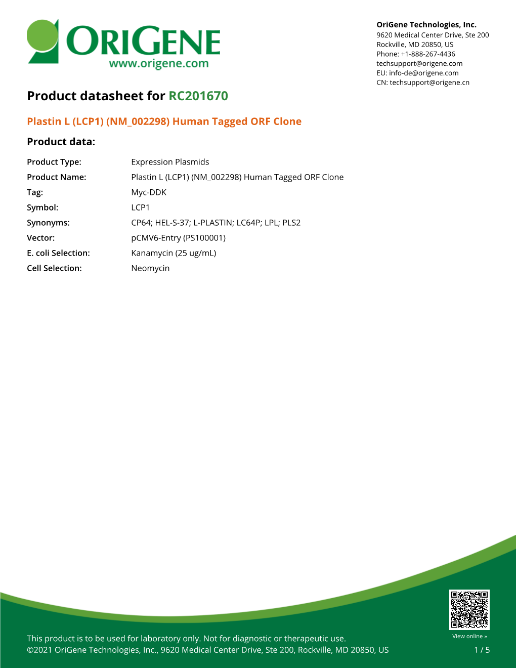 Plastin L (LCP1) (NM 002298) Human Tagged ORF Clone Product Data