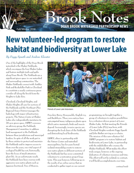 New Volunteer-Led Program to Restore Habitat and Biodiversity at Lower Lake by Peggy Spaeth and Andrew Klooster