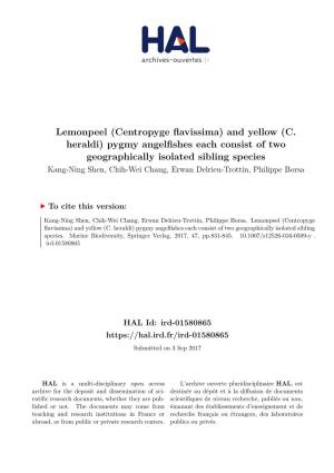 Lemonpeel (Centropyge Flavissima) and Yellow (C