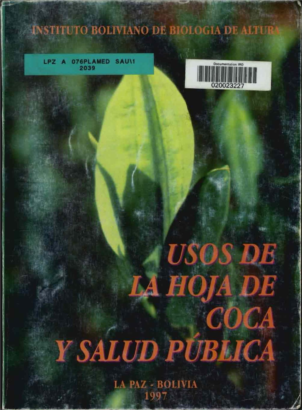 Usos De La Hoja De Coca Y Salud Publica