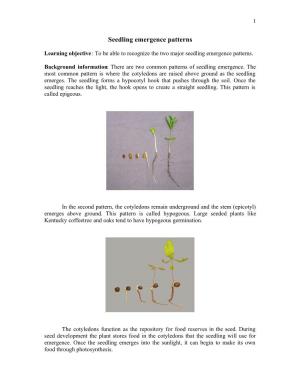 Seedling Emergence Patterns