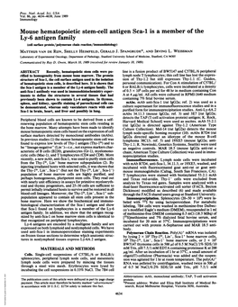 Mouse Hematopoietic Stem-Cell Antigen Sca-1 Is a Member of the Ly