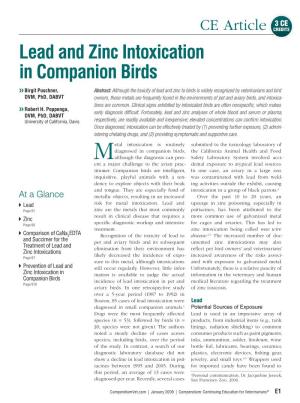 Lead and Zinc Intoxication in Companion Birds