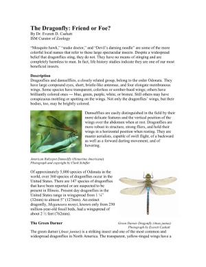 Dragonflies: Friends of Foes