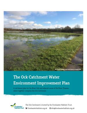 The Ock Catchment Water Environment Improvement Plan