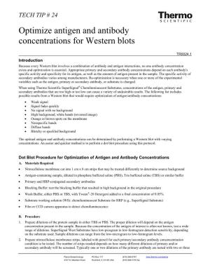 Optimize Antigen and Antibody Concentrations for Western Blots