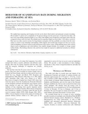 Behavior of Scandinavian Bats During Migration and Foraging at Sea