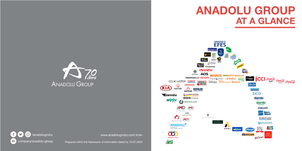 Anadolu Group at a Glance