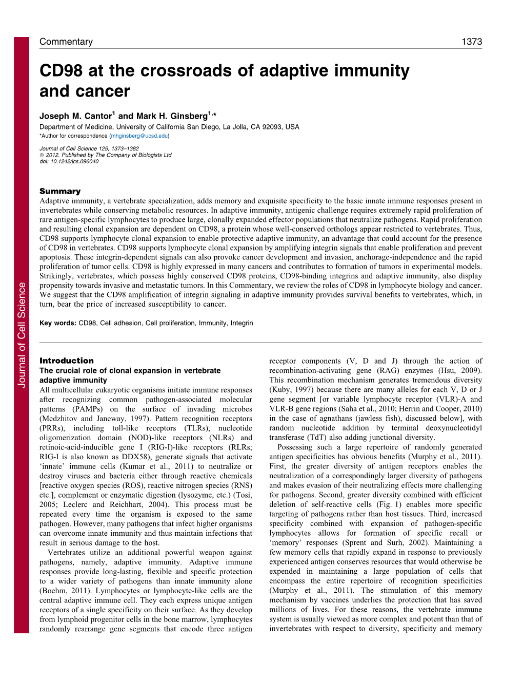 CD98 at the Crossroads of Adaptive Immunity and Cancer