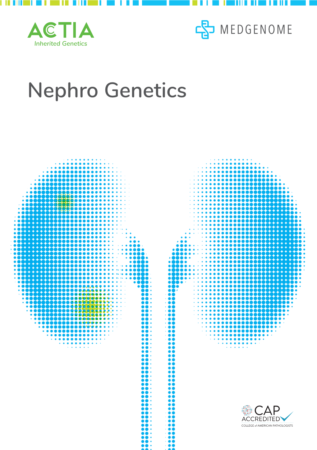 Nephro Genetics Actia Nephro Inherited Genetics Genetics