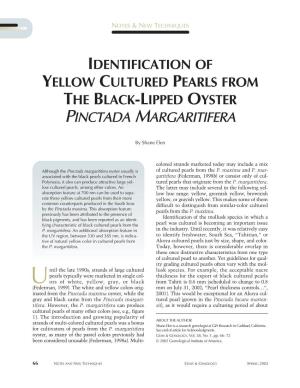 Identification of Yellow Cultured Pearls from the Black-Lipped Oyster Pinctada Margaritifera