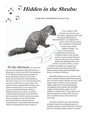 Rediscovery of the Humboldt Marten?