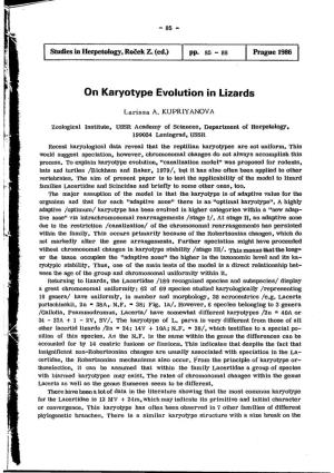 On Karyotype Evolution in Lizards