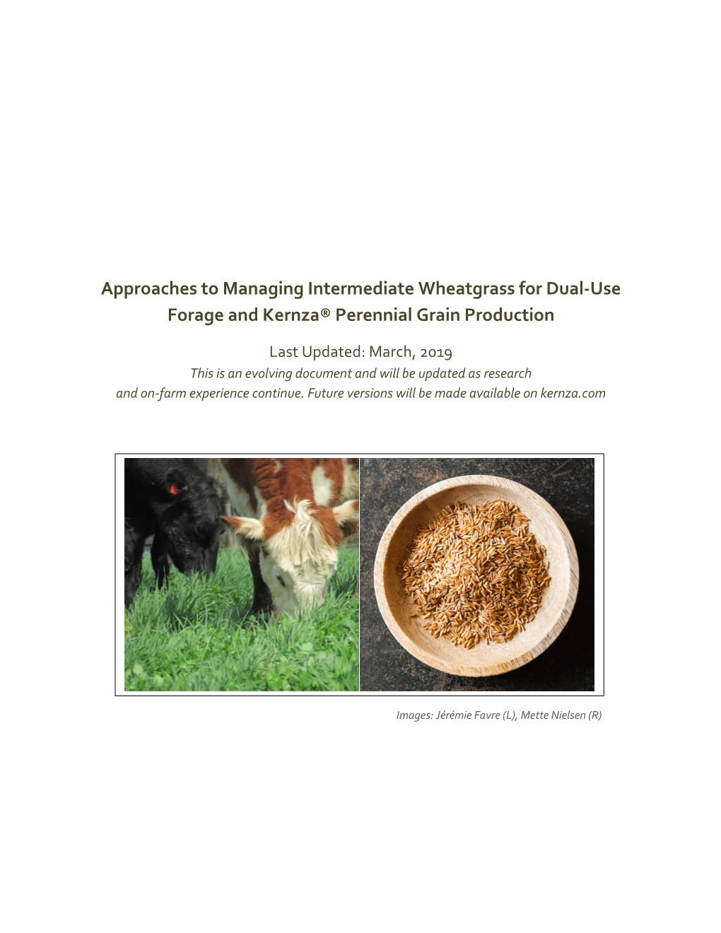 Approaches to Managing Intermediate Wheatgrass for Dual-Use Forage and Kernza® Perennial Grain Production