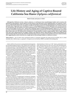 Life History and Aging of Captive-Reared California Sea Hares (Aplysia Californica)