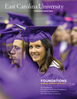 Foundations Annual Report 2012–2013
