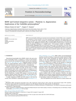 BDNF and Cortisol Integrative System – Plasticity Vs. Degeneration