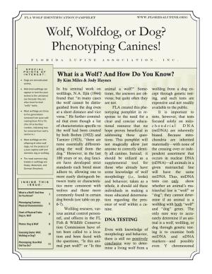 Wolf, Wolfdog, Or Dog? Phenotyping Canines!
