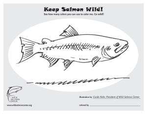 Keep Salmon Wild! See How Many Colors You Can Use to Color Me