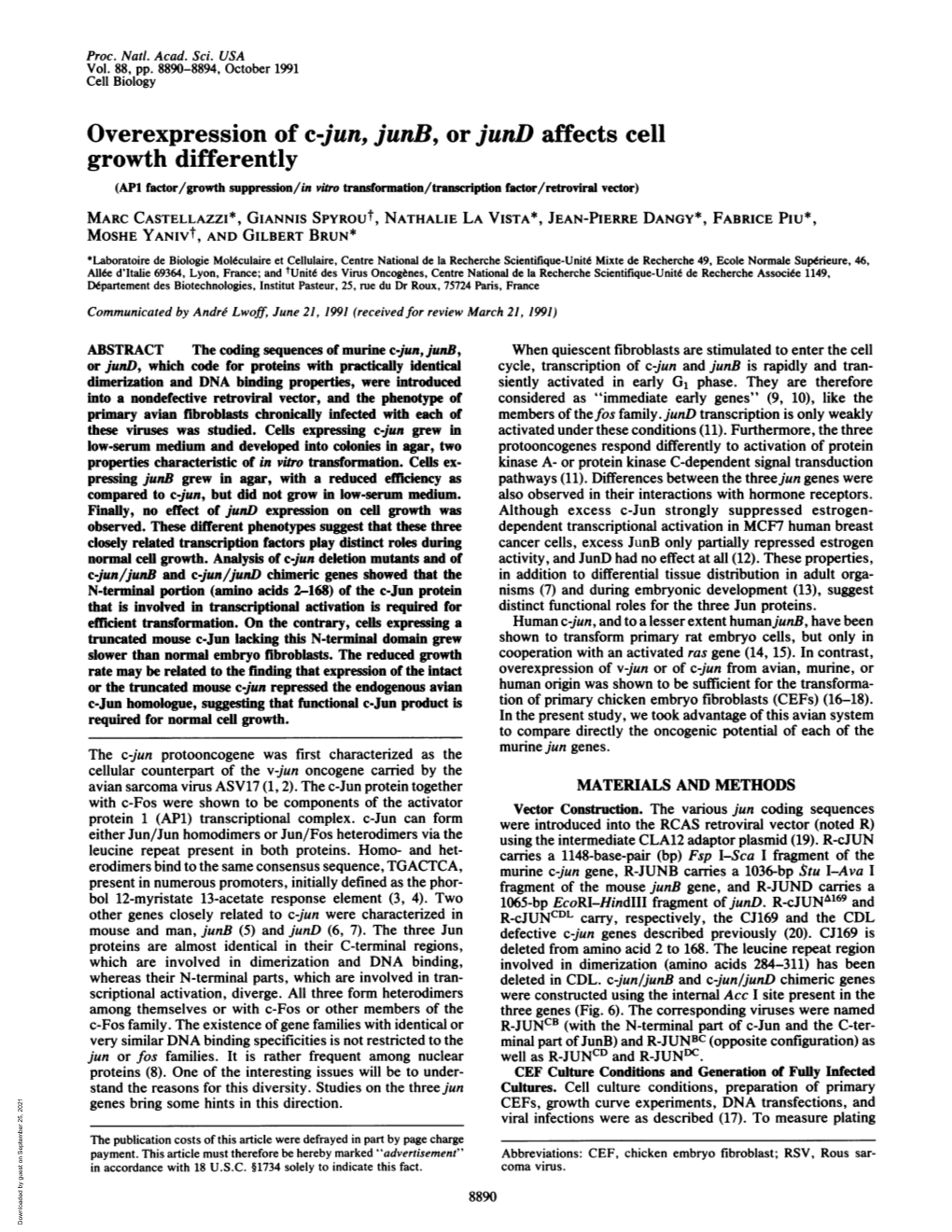 Overexpression of C-Jun, Junb,Or Jund Affects Cell Growth Differently