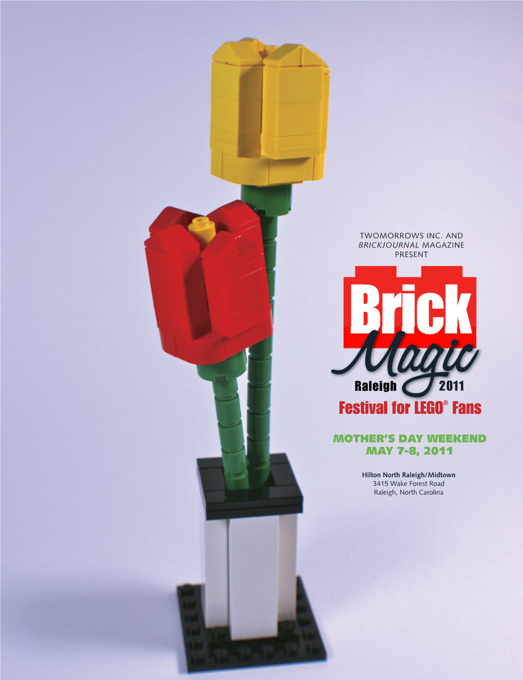 Festival for LEGO® Fans