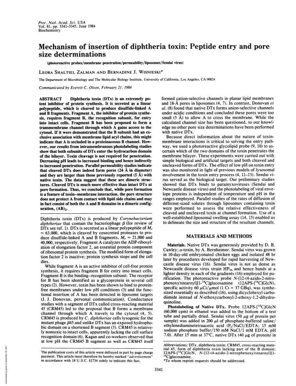 Mechanism of Insertion of Diphtheria Toxin: Peptide Entry And