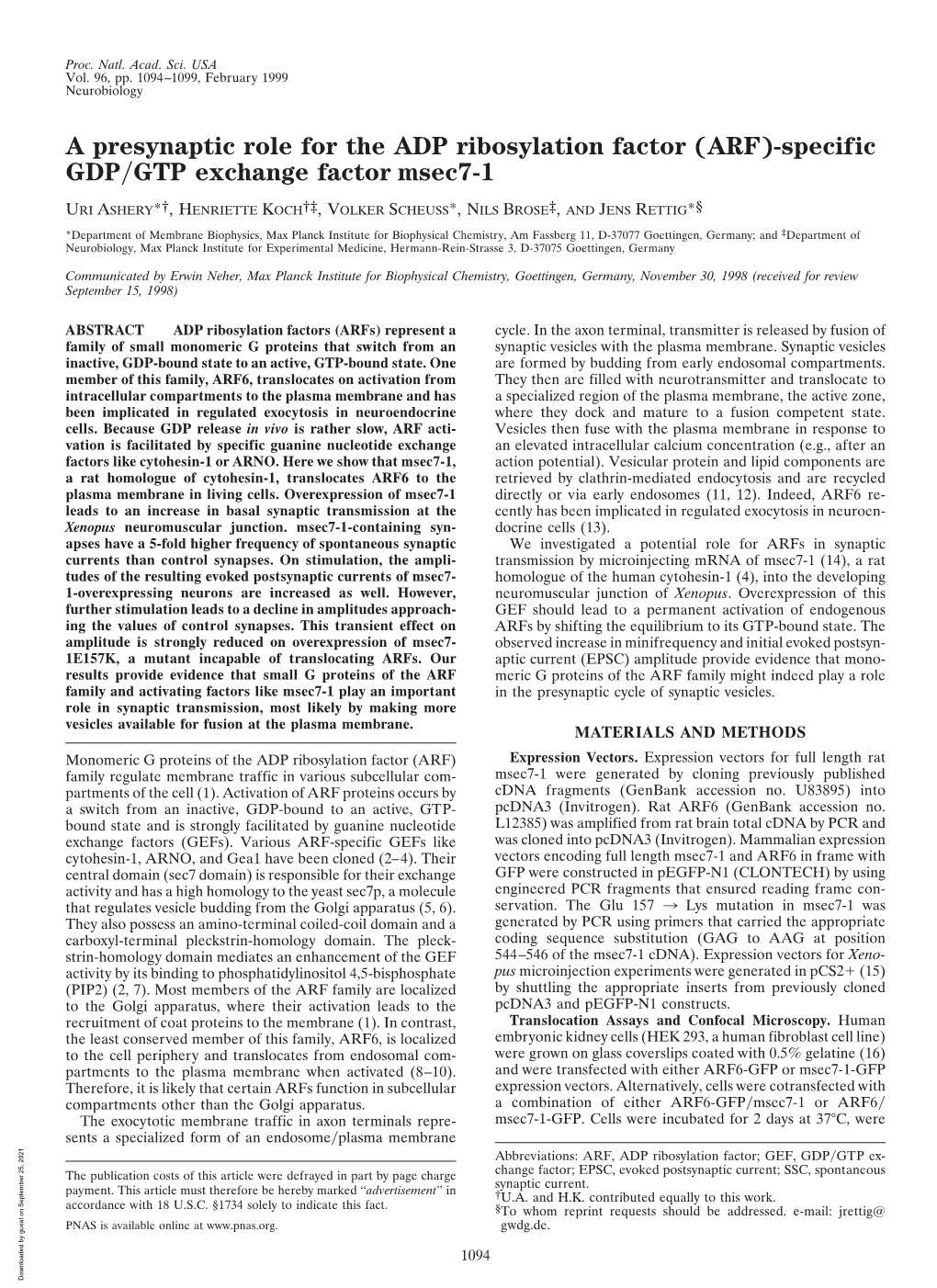 A Presynaptic Role for the ADP Ribosylation Factor (ARF)-Specific GDP͞GTP Exchange Factor Msec7-1