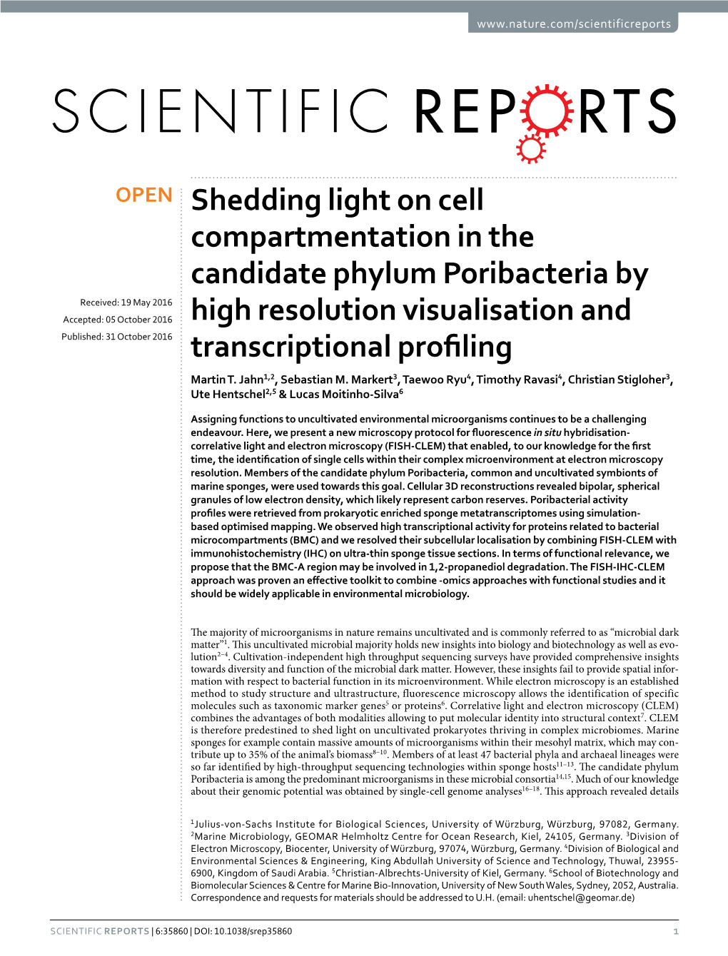 Shedding Light on Cell Compartmentation in the Candidate