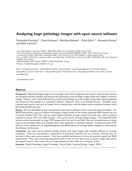 Analyzing Huge Pathology Images with Open Source Software