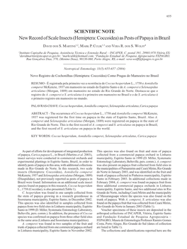 New Record of Scale Insects (Hemiptera: Coccoidea) As Pests of Papaya in Brazil