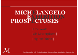 Exhibition Michelangelo Prospectuses