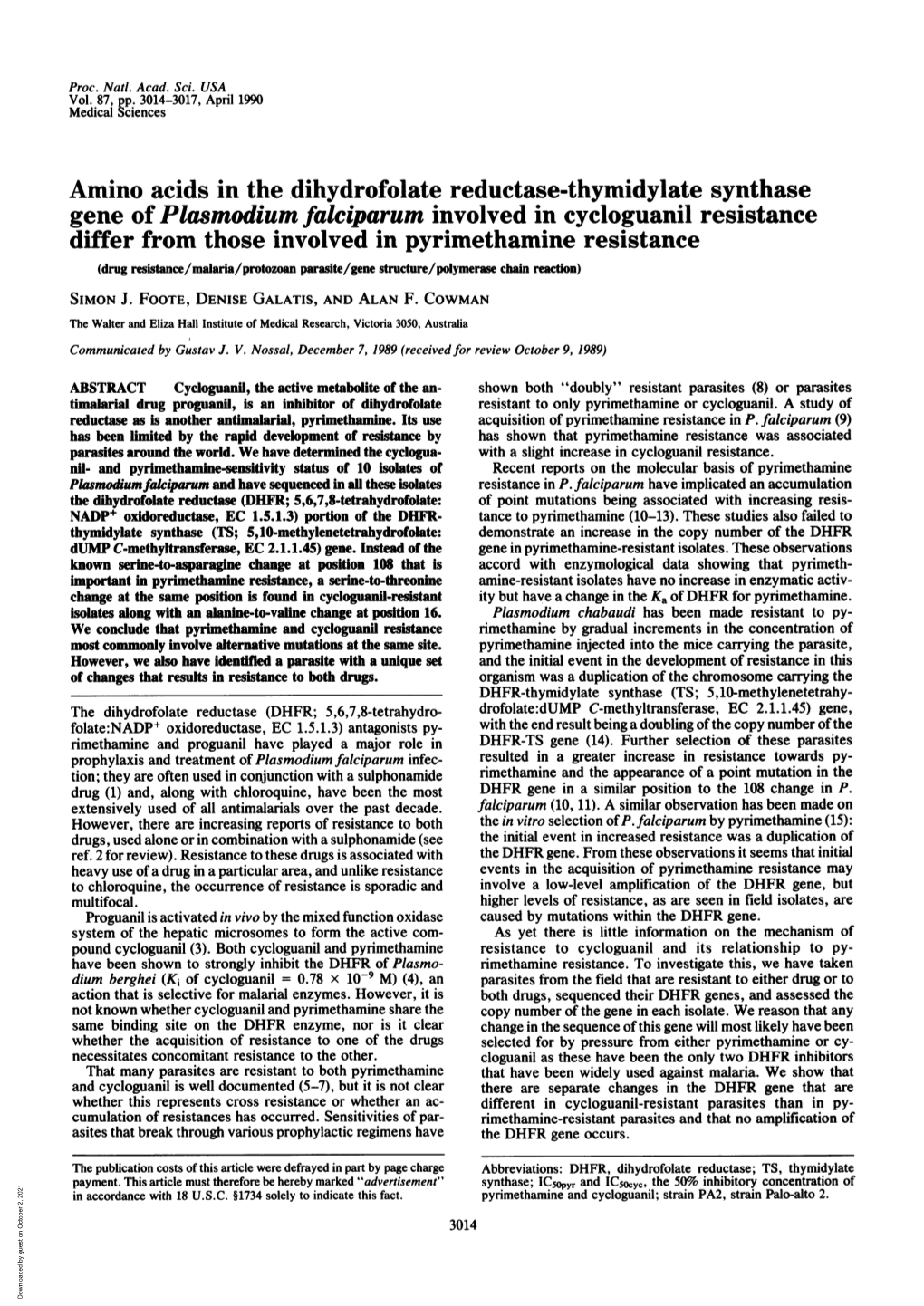 Amino Acids in the Dihydrofolate Reductase-Thymidylate Synthase