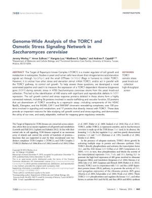 Genome-Wide Analysis of the TORC1 and Osmotic Stress Signaling Network in Saccharomyces Cerevisiae