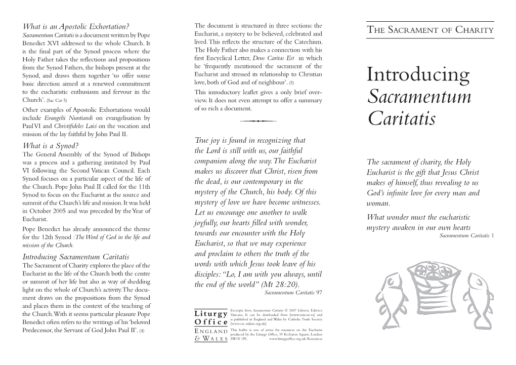 Introducing Sacramentum Caritatis