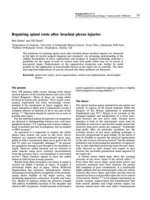 Repairing Spinal Roots After Brachial Plexus Injuries