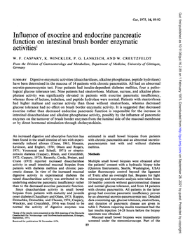 Influence of Exocrine and Endocrine Pancreatic Function on Intestinal Brush Border Enzymatic Activities1