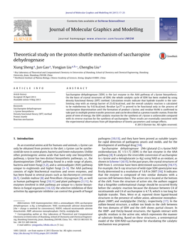 Theoretical Study on the Proton Shuttle Mechanism of Saccharopine Dehydrogenase