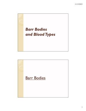 Barr Bodies and Blood Types