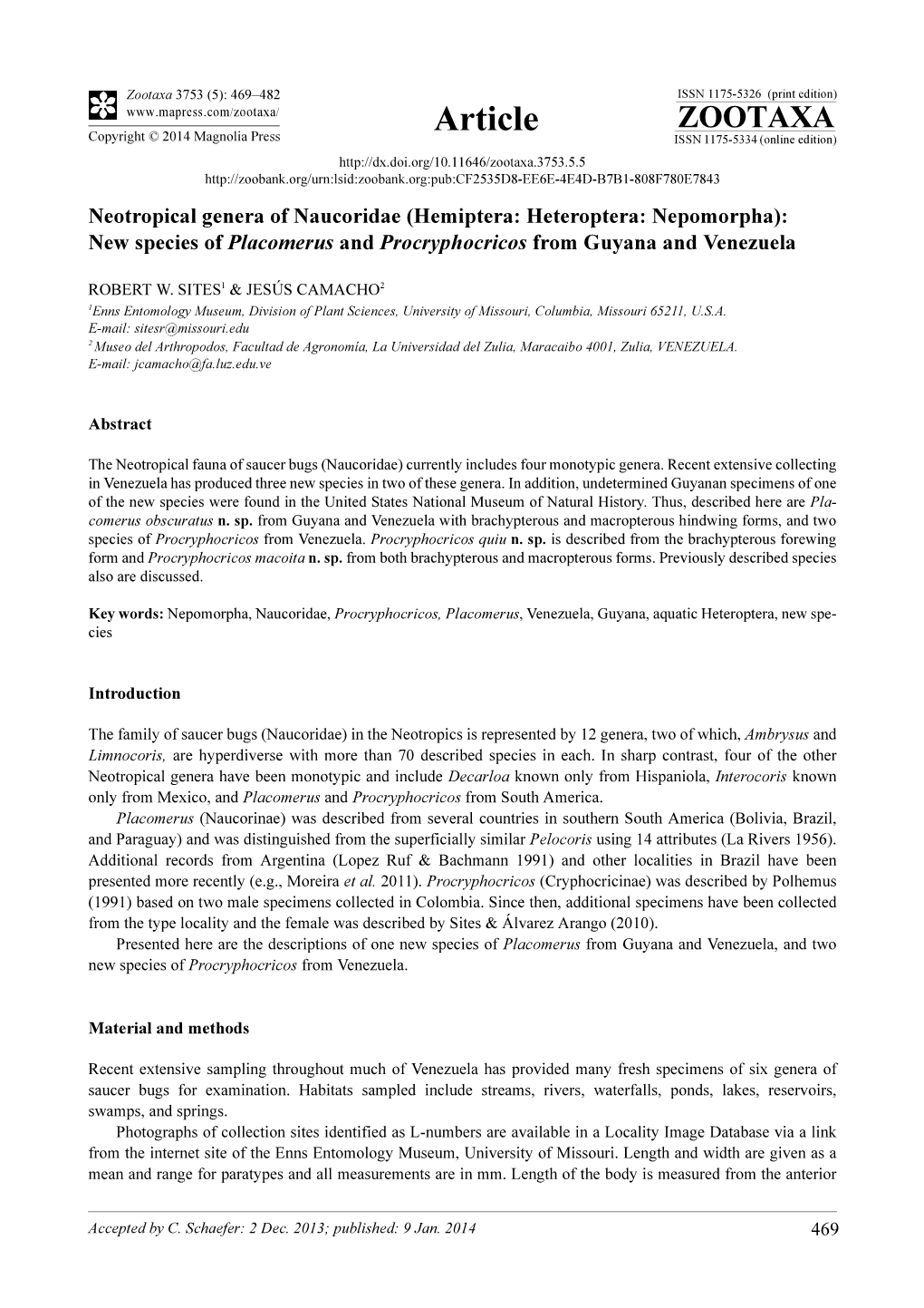 Hemiptera: Heteroptera: Nepomorpha): New Species of Placomerus and Procryphocricos from Guyana and Venezuela