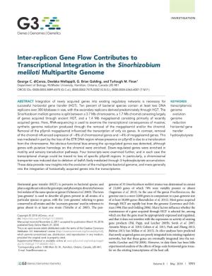 Inter-Replicon Gene Flow Contributes to Transcriptional Integration in the Sinorhizobium Meliloti Multipartite Genome