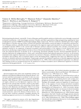 Differential Regulation of Chordin Expression Domains in Mutant