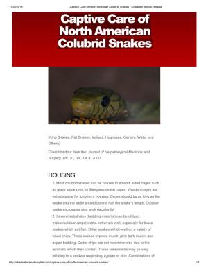 Captive Care of North American Colubrid Snakes - Chadwell Animal Hospital Captive Care of North American Colubrid Snakes