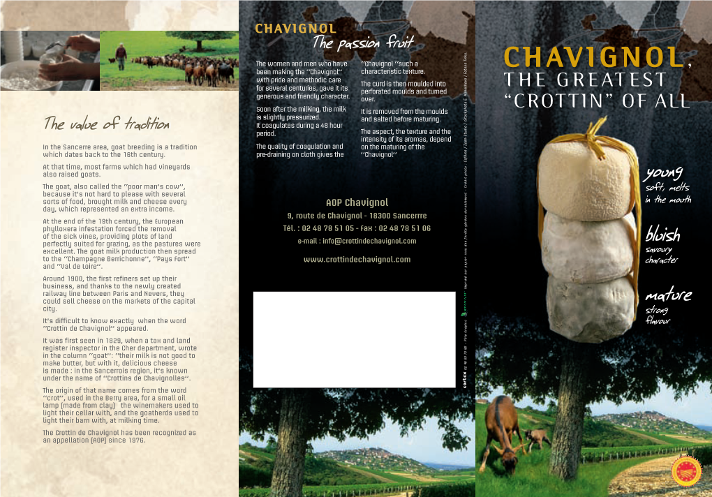 Crottin De Chavignol” Appeared