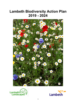 Lambeth Biodiversity Action Plan 2019 - 2024