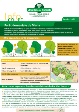 Plan De La Coupe De Sécurité Dans Le Bois De Louveciennes La Forêt