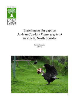 Enrichments for Captive Andean Condor (Vultur Gryphus) in Zuleta, North Ecuador