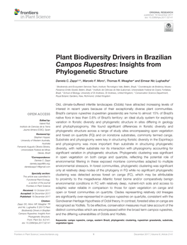 Plant Biodiversity Drivers in Brazilian Campos Rupestres: Insights from Phylogenetic Structure