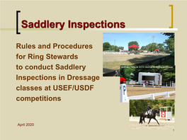 Saddlery Inspections