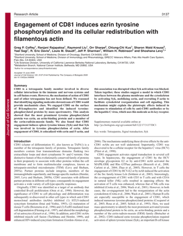 Engagement of CD81 Induces Ezrin Tyrosine Phosphorylation and Its Cellular Redistribution with Filamentous Actin