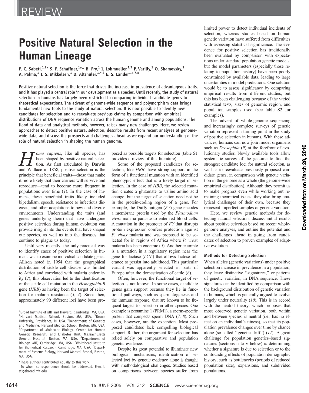 Positive Natural Selection in the Human Lineage REVIEW